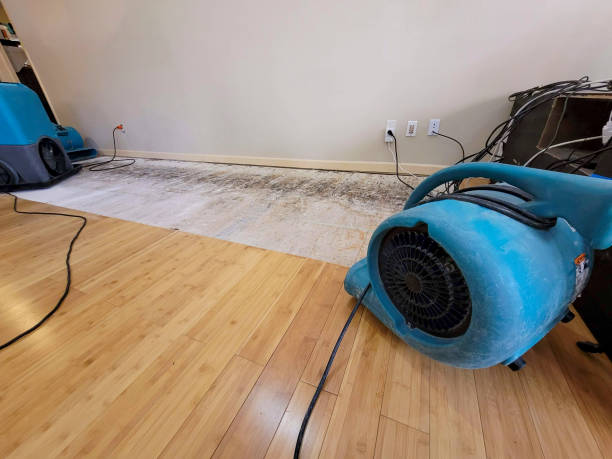 Professional Emergency Water Damage technician working in Forestville, OH